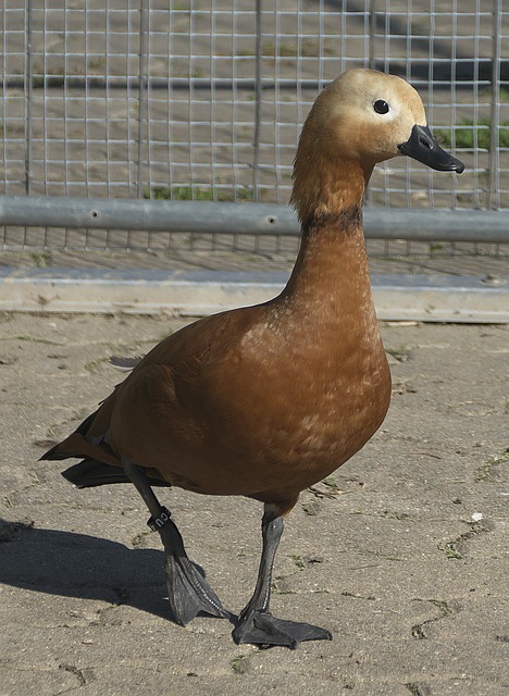 并为未来储